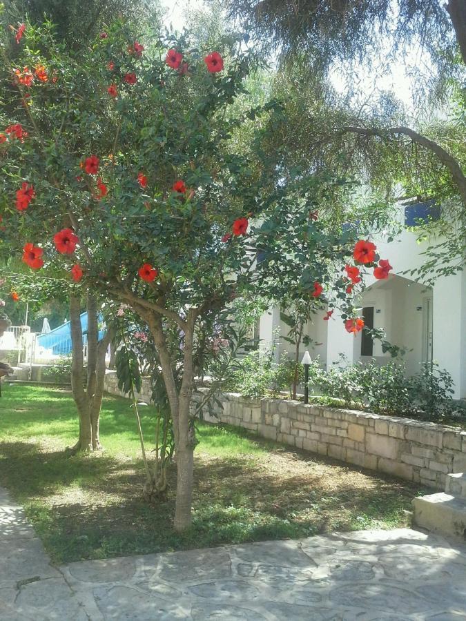Tenda Hotel Bodrum Екстериор снимка
